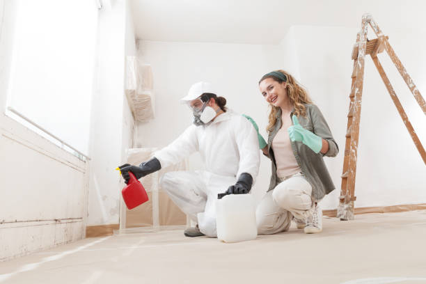 Best Mold-Related Health Consultation  in Charlotte Harbor, FL
